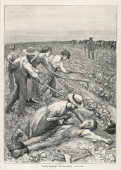 Wall Mural - Child labour working in the fields. Date: 1867