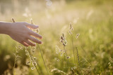 Fototapeta Góry - Female hand touching nature