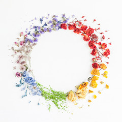 Wall Mural - Flowers composition. Wreath made of rainbow flowers on white background. Flat lay, top view