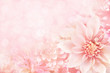 Summer blossoming dahlia, flower bokeh background, pastel and soft floral card