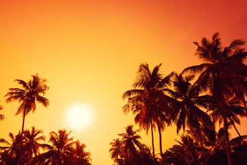 Wall Mural - Palm trees silhouettes on tropical beach at sunset