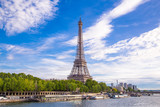 Fototapeta Paryż - Summer view of Paris with Eiffel tower 