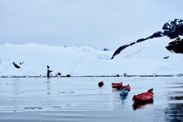 Canvas Print - Sea kayaking in Antarctica