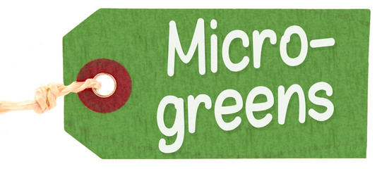 Wall Mural - Microgreens