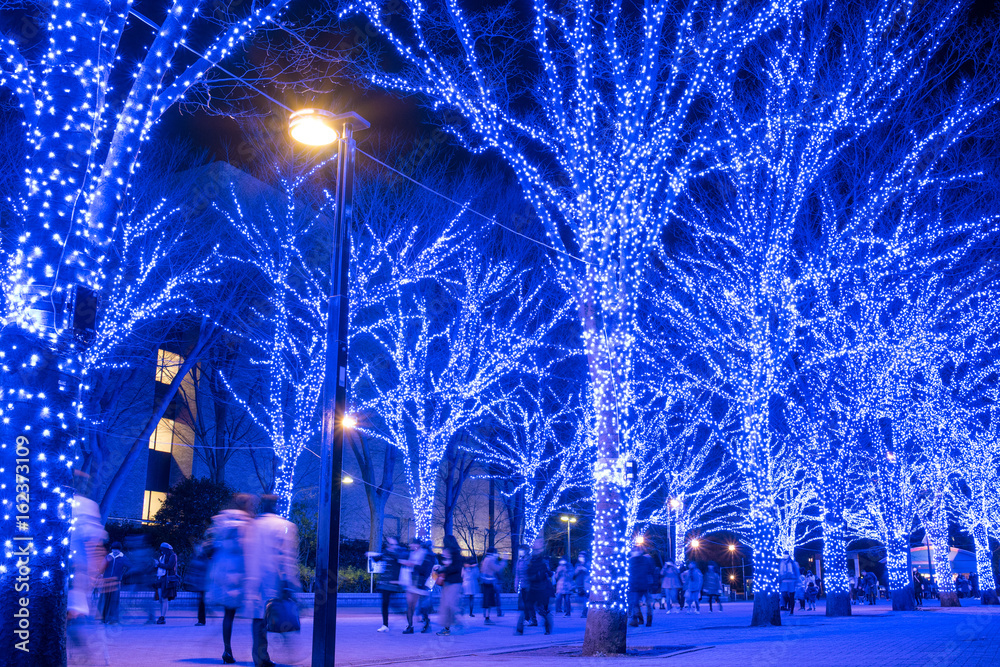 Illuminated street at Yoyogi Park in Tokyo　青の洞窟