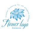 Edelweiss is a logo template, a flower for an elegant corporate identity with symbol of an open edelweiss flower, a water lily, a lotus or other abstract floret.