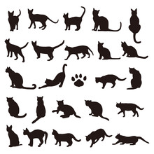 Set Of Cats Silhouette