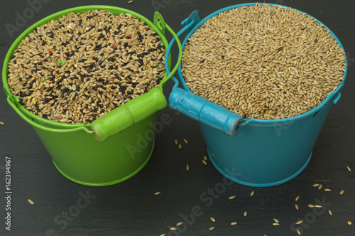 Fotografía food for birds, seed mixture, a green bucket with seed mix and a blue bucket wit