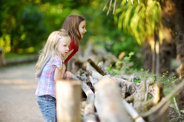 Two cute little sisters watching animals in the zoo on warm and sunny summer day. Children watching zoo animals standing by the fence.