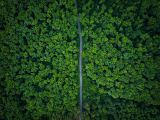 Road through the forest, view from height - aerial photo