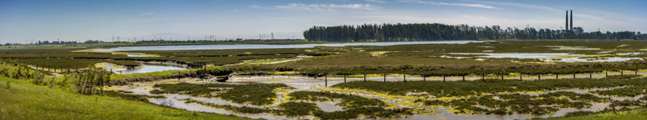 Elkhorn Slough Reserve, Monterey Bay, California. The 1700-acre Reserve hosts programs that promote education, research, and conservation in Elkhorn Slough. Moss Landing smoke stacks border the site.