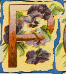 Wall Mural - Decorative Flower Alphabet - P. Date: 1890s