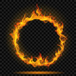 Ring of fire flame. Transparency only in vector format