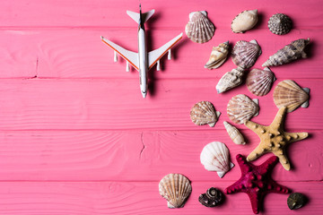 Wall Mural - Seashells and airplane on pink wooden background