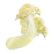Cauliflower. Piece isolated on white background. Macro. With clipping path.