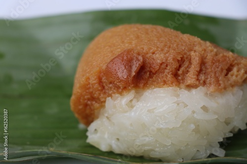 Sweet Sticky Rice With Thai Custard Thai Dessert Khao Neeo Sankaya Stock Photo Adobe Stock