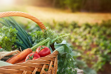 Fresh vegetables in wicker basket