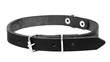 © vadarshop - Leather black dog collar on a white background