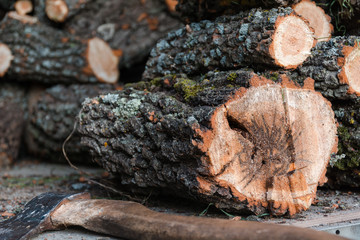 Wall Mural - Axe and firewood. The axe lies near firewood.