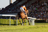 Horse races, jockey and his horse goes towards finish line. Traditional European sport.