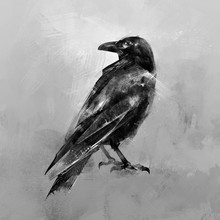 Painted Sitting Bird Raven Back
