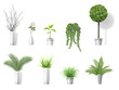Set of vector realistic detailed house plant for interior design and decoration.