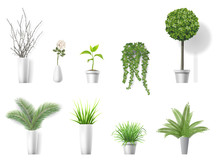 Set Of Vector Realistic Detailed House Plant For Interior Design And Decoration.