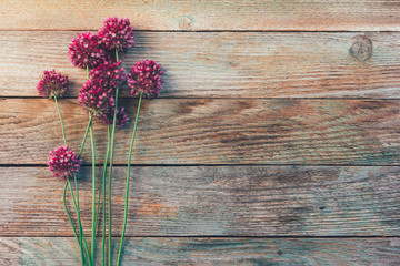 Wall Mural - wild flowers of Allium on a wooden vintage background with space for text