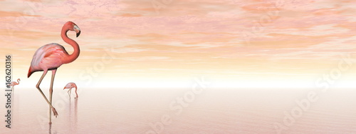 Obrazy flamingi  rozowe-flamingi-renderowanie-3d