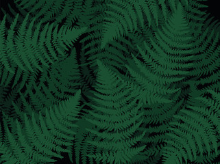  Fern Leaf Plant Background. Tropical
