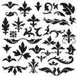 Set of flourishes calligraphic elegant ornament vector illustration
