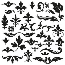 Set Of Flourishes Calligraphic Elegant Ornament Vector Illustration
