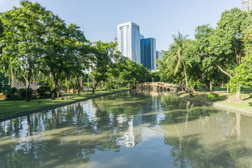 CHATUCHAK PARK, large public park in Bangkok Thailand for relaxing and doing activities.