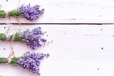 Fototapeta Lawenda - Border of bunches of aromatic purple lavender