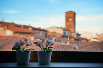 Lucca window view