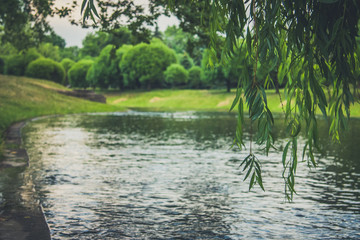 The channel full of the water in the spring park