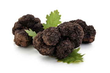 Canvas Print - Black truffles and oak leaves.