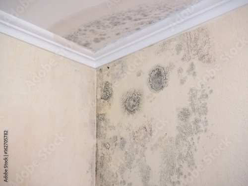 Fotomural Wasserschaden - Wohnung - Versicherung - Sanierung