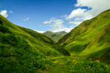 Fototapeta  - The green Caucasian valley in summer looks like Alps