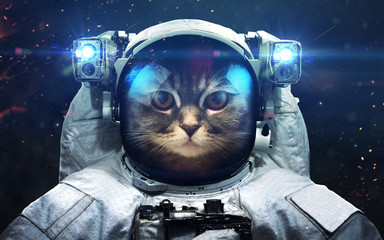 Wall Mural - Science fiction space wallpaper with cat astronaut, incredibly beautiful planets, galaxies, dark and cold beauty of endless universe. Elements of this image furnished by NASA