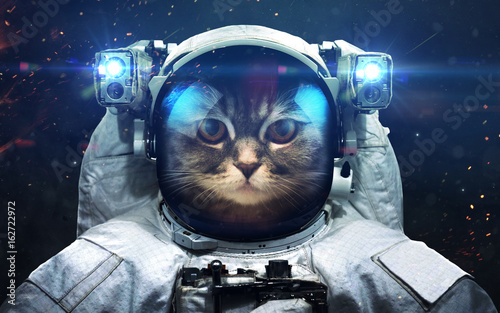 Science Fiction Space Wallpaper With Cat Astronaut Incredibly