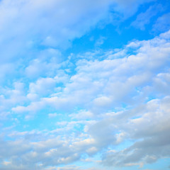 Wall Mural - clouds in the sky