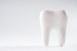© Gecko Studio - White healthy human tooth isolated on a white background with copy space. Dental health Concept. Oral Care.
