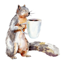 Watercolor Illustration Of Squirrel With Cup Of Coffee, Isolated On White Background