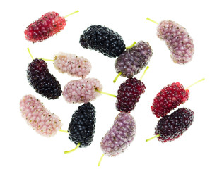 Mulberry berry on a white background