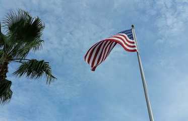 American flag on blue sky background in Florida nature