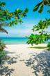 Welcome to paradise! Summer holiday - Sandy tropical beach - sand, sea and sunlight 
