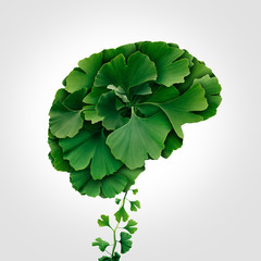 Ginkgo Biloba Brain