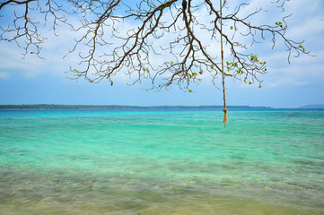 Wall Mural - White Sand Beach on Tropical Islands 