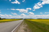 Fototapeta Na sufit - Blue sky with clouds over a field covered with yellow flowers